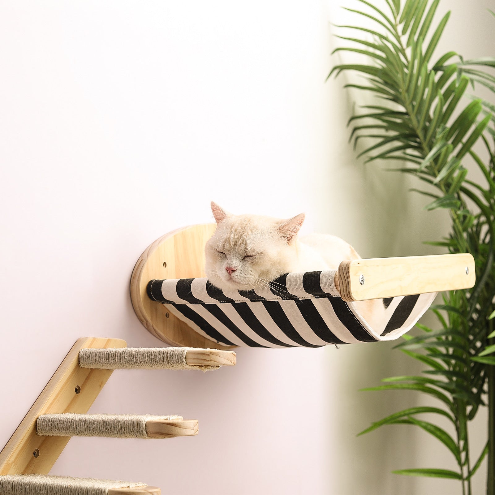 Accesorios para mascotas Premium