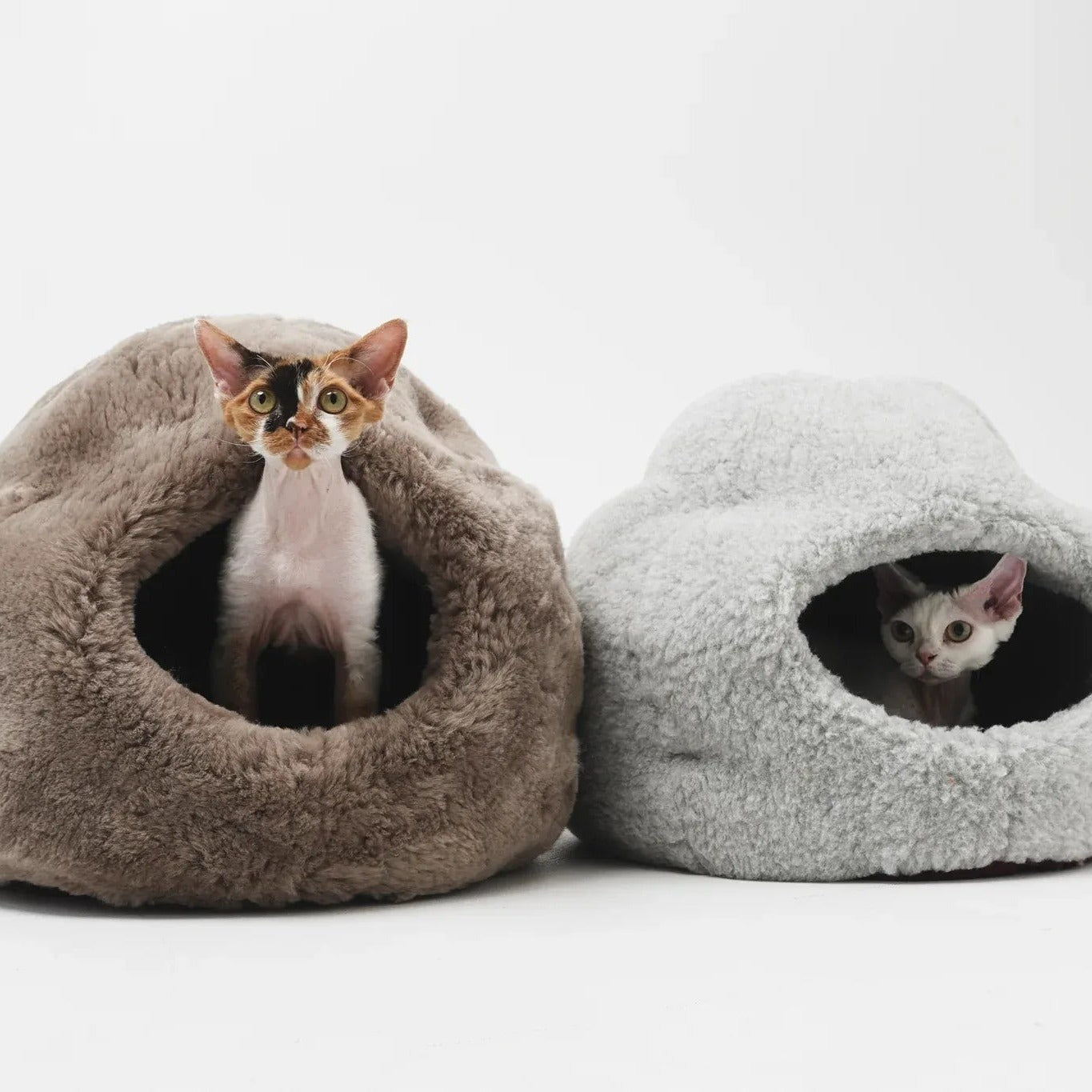 Portada cuadrada premium de Cama de lana natural para mascotas - blanco - Tu Peludo Premium