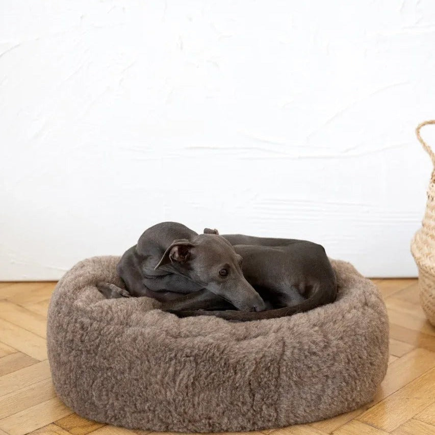 Portada cuadrada premium de Cama ovalada de lana natural para mascotas - beige - Tu Peludo Premium
