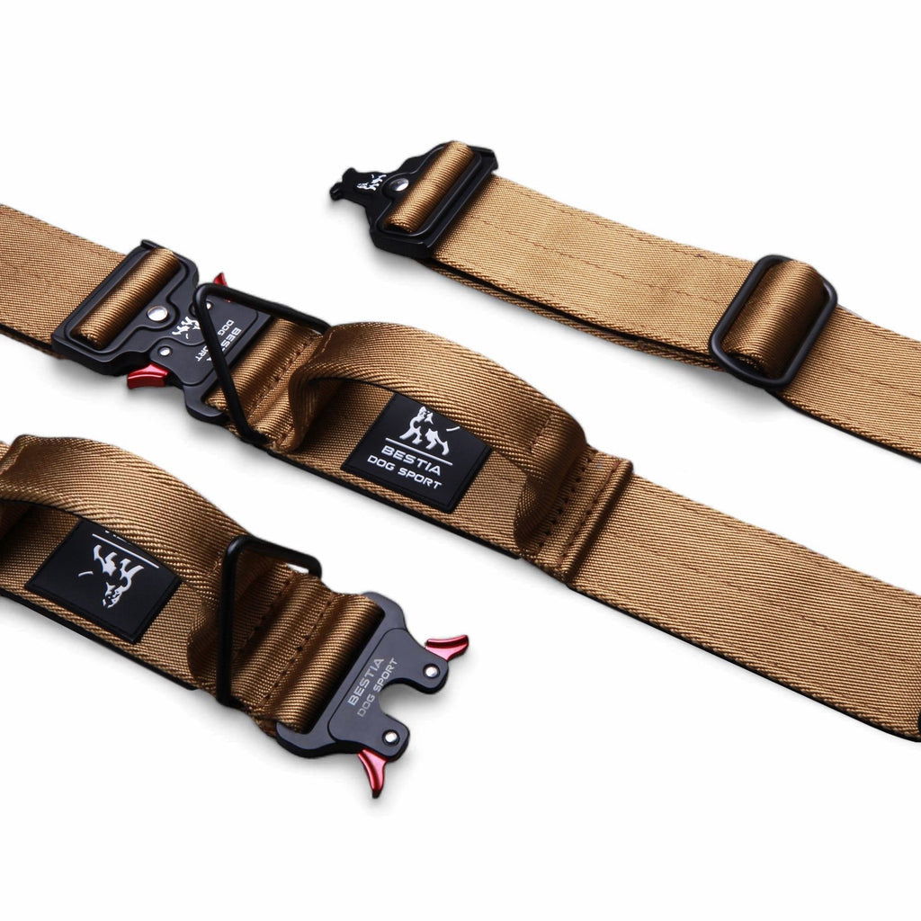 Verstellbares Halsband de nylon negro fuer Hunde - Bild 1