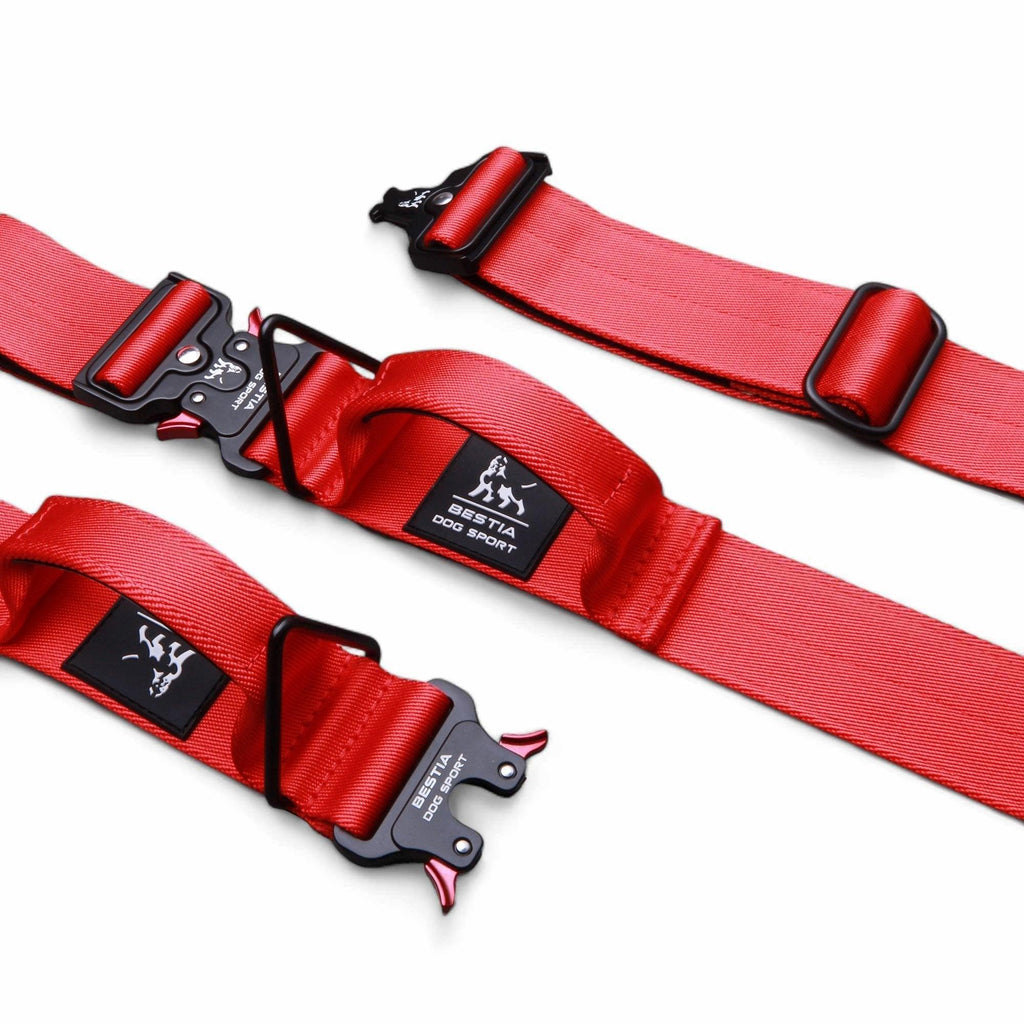 Adjustable collar de nylon negro for dogs - image 3