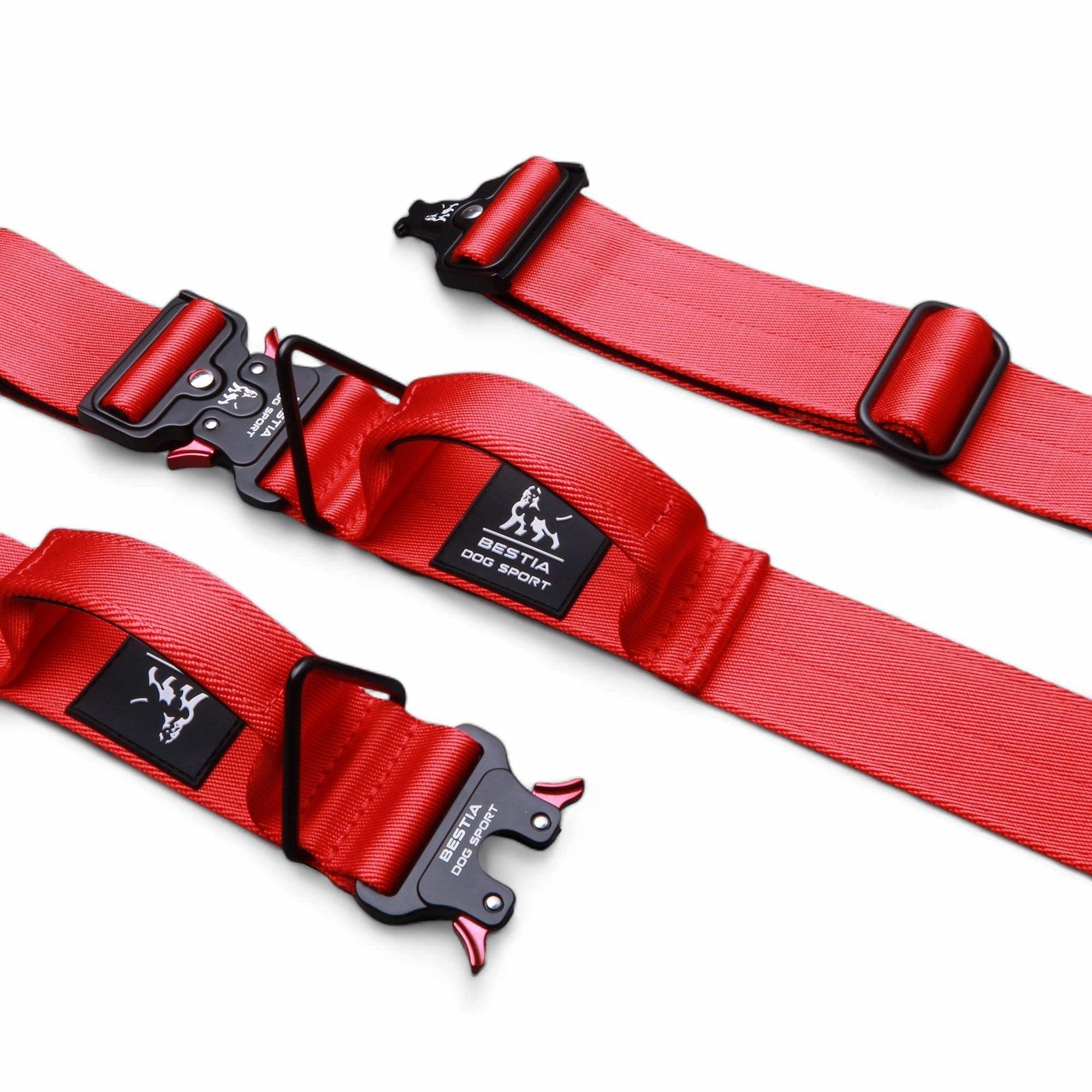Collare regolabile de nylon negro per cani - immagine 3