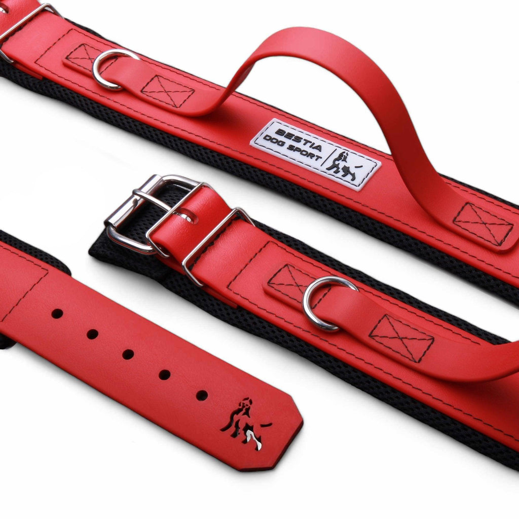 Verstellbares Halsband impermeable weich de acero rojo fuer Hunde - Bild 1