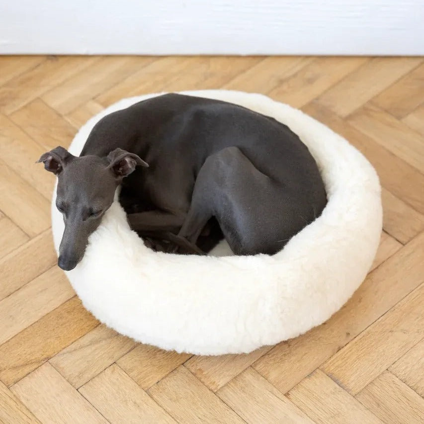 Portada cuadrada premium de Cama redonda de lana natural para mascotas - blanco - Tu Peludo Premium