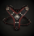 The ''Eros'' harness Black & Red Small to Medium Size per cani e gatti - immagine 1