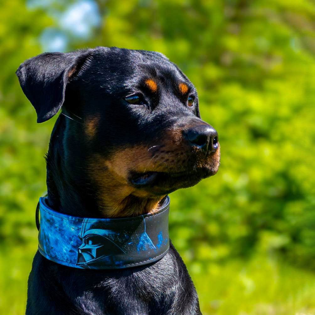 The Darth Force Limited Collar pour chiens et chats - image 4