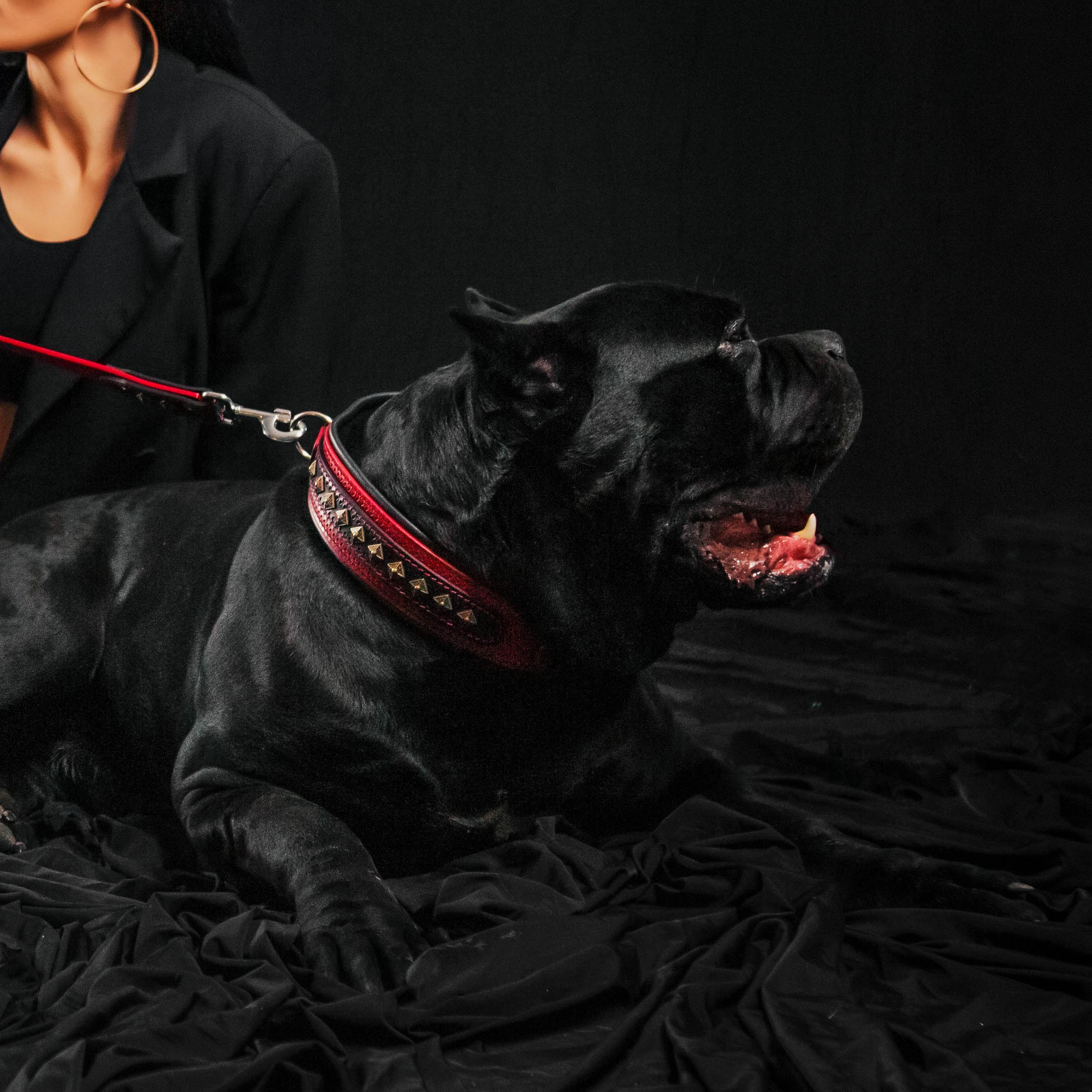 Collier Balteus rouge pour chien