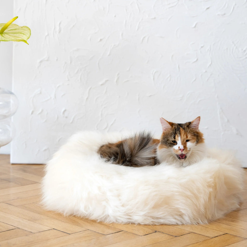 Portada cuadrada premium de Cama redonda de piel natural para mascotas - blanco - Tu Peludo Premium
