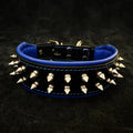 "Frenchie" collar fuer Hunde - Bild 1