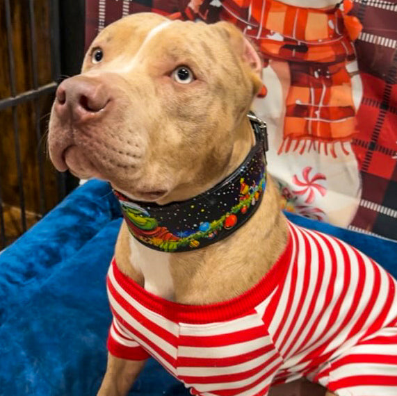 The Grinchmas Limited Collar para perros y gatos - imagen 4