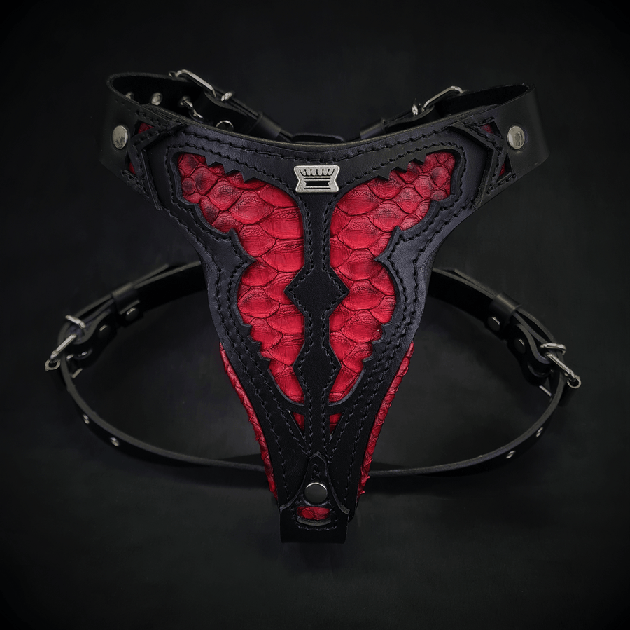 L'imbracatura ''Red Dragon'' Medium Size