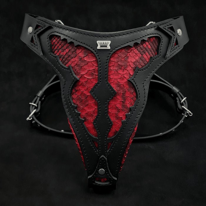 Arnés Red Dragon para perros