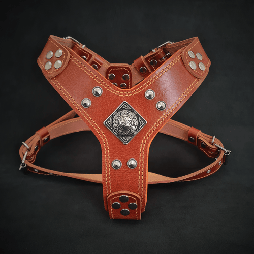 The ''Eros'' harness brown Small to Medium Size fuer Hunde - Bild 1