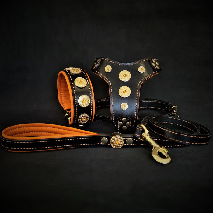 Set Bijou de arnes, collar y correa naranja pour chien