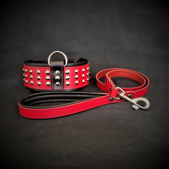 Set Star de collar y correa para perros