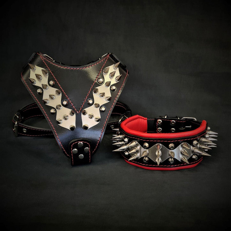 Set Steel de arnés y collar para perros