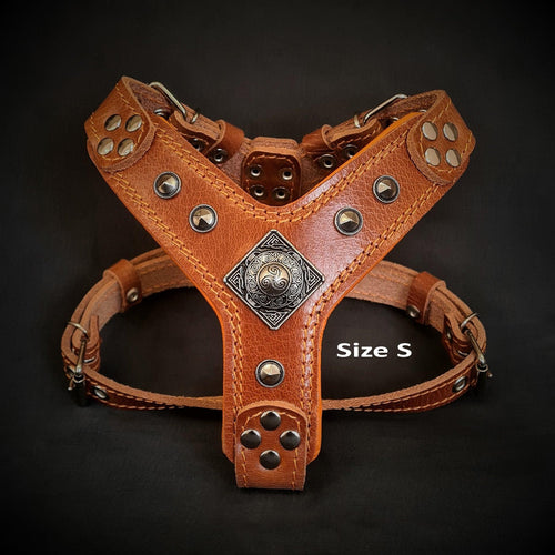 The ''Eros'' harness brown Small to Medium Size fuer Hunde - Bild 2