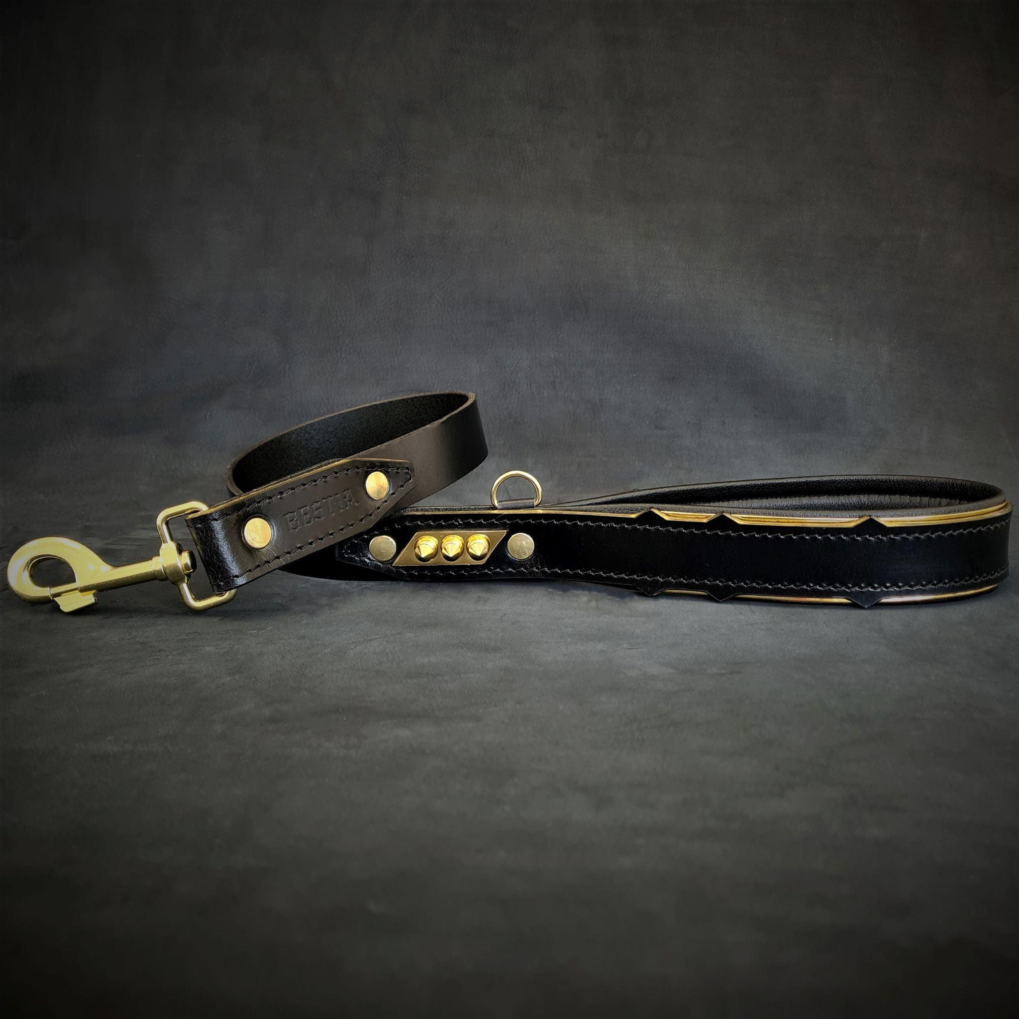 The ''Midas'' leash for dogs - image 2