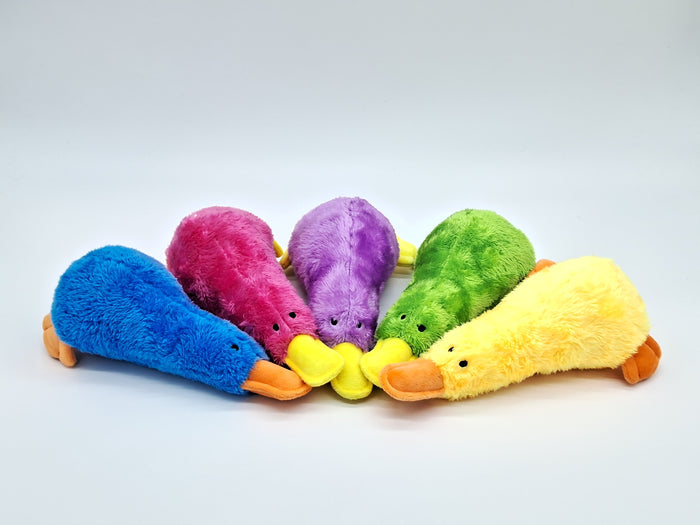 Platz le Platypus
