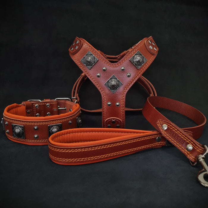 Set EROS grande de arnes, collar y correa marron y naranja pour chien
