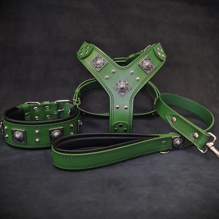 Set Eros de arnés, collar y correa verde para perros grandes