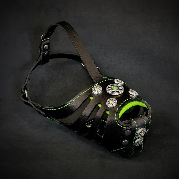 Le panier ''Bijou'' Muselière Noir & Vert