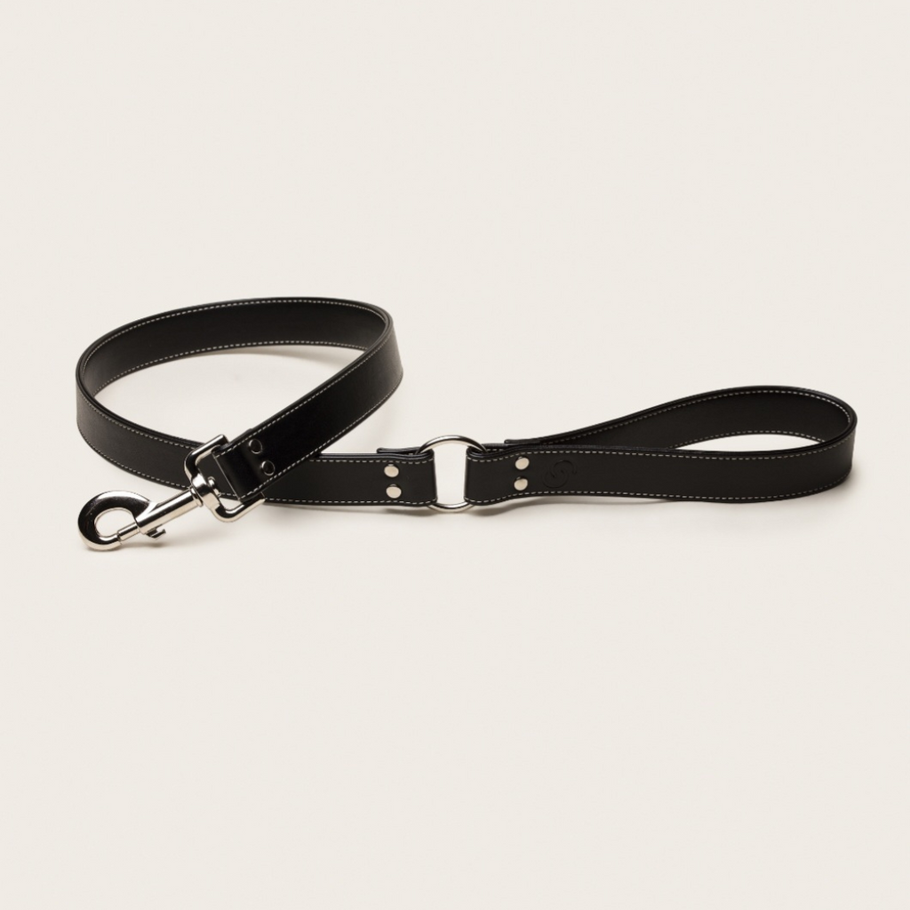 Black apple leather lead pour chiens - image 1