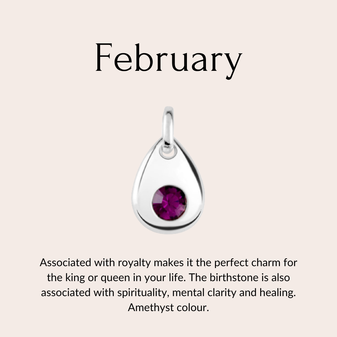 Sterling silver birthstone collare charm