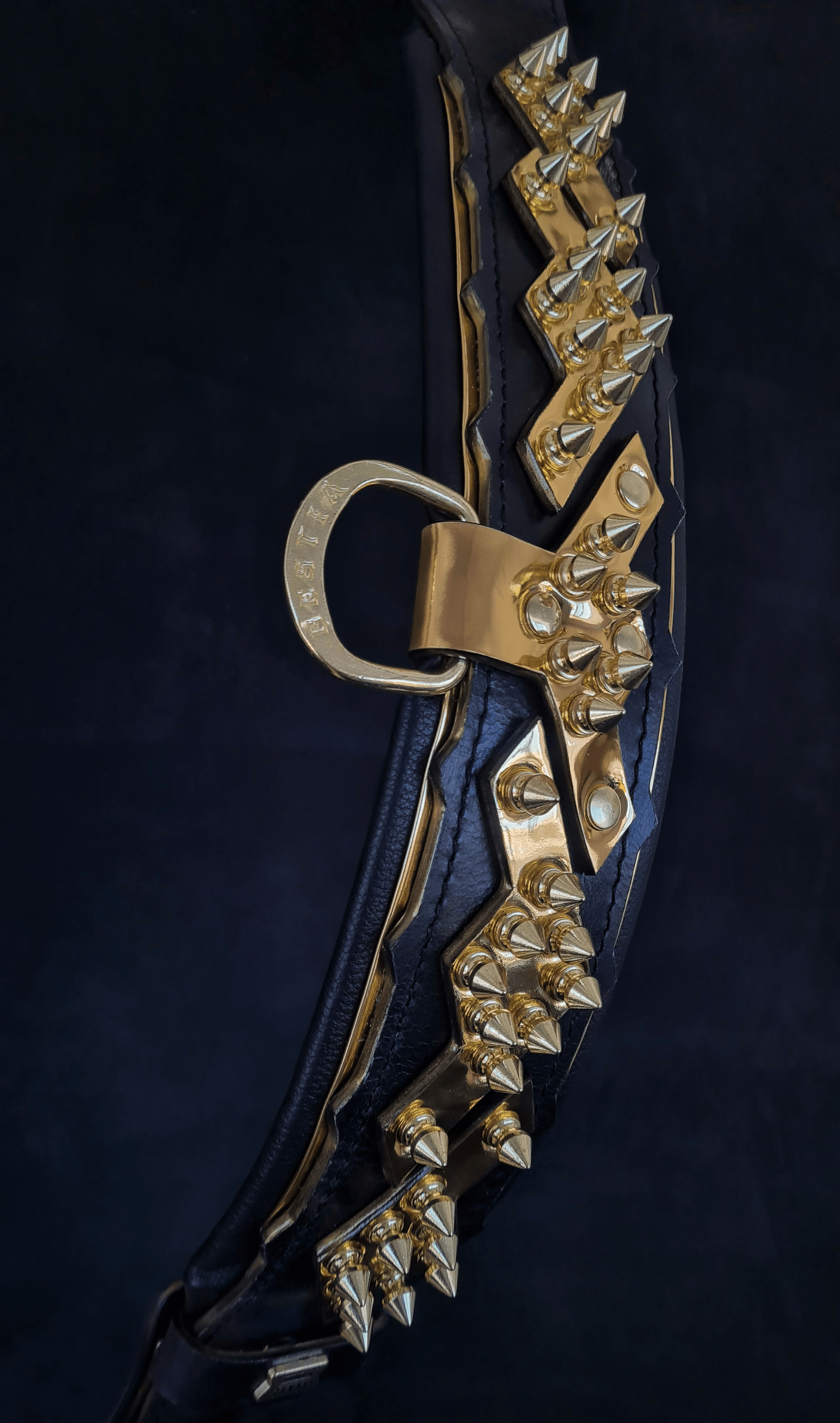 The ''Midas'' Collar Gold per cani e gatti - immagine 2