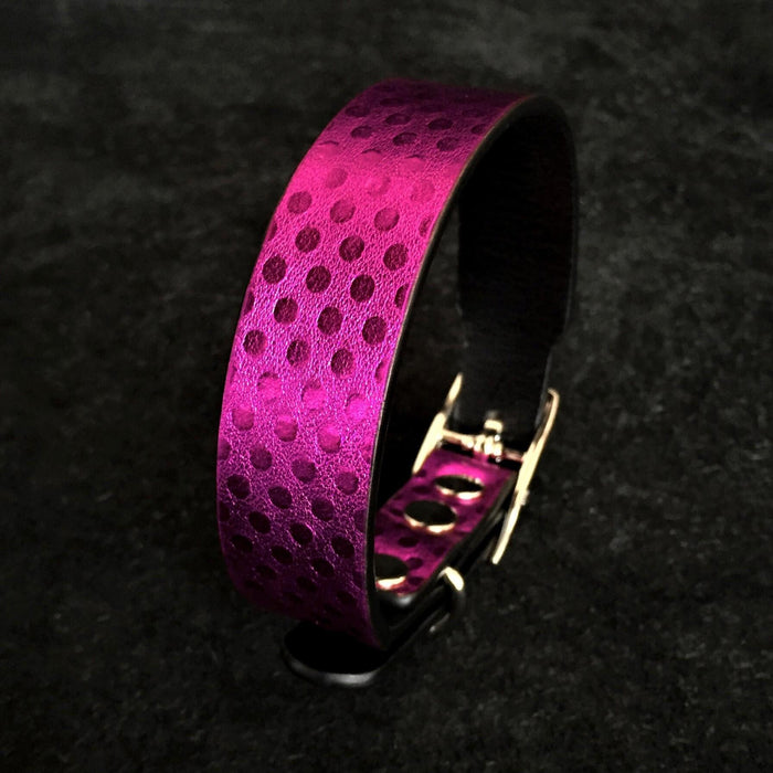 Le chiot Corfou pour chiens