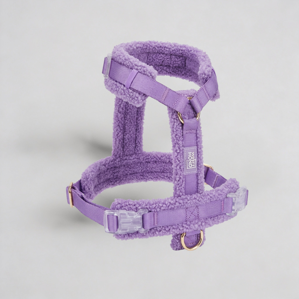 Arnés teddy violeta para perros - imagen 1