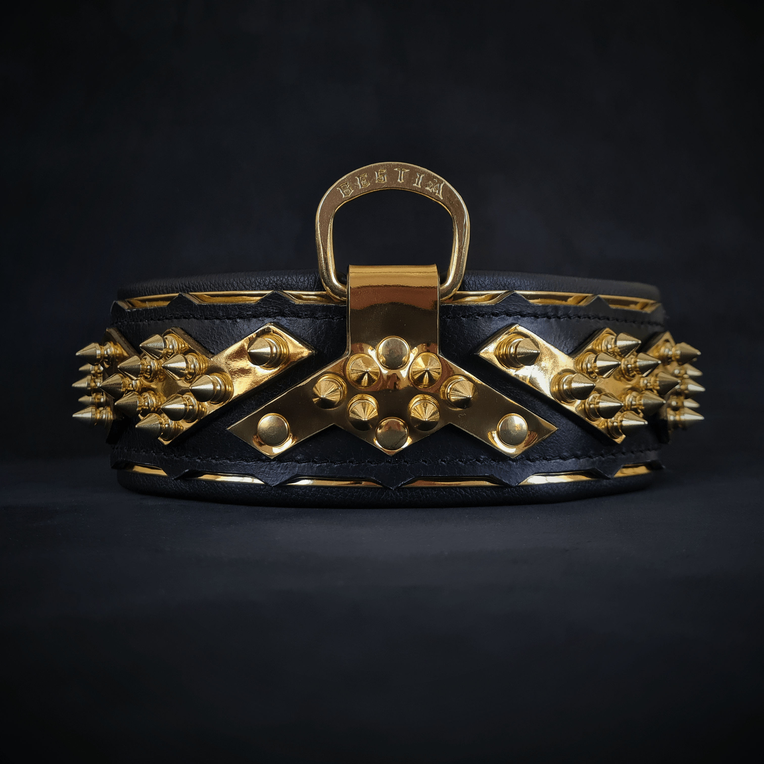 The ''Midas'' Collar Gold per cani e gatti - immagine 1