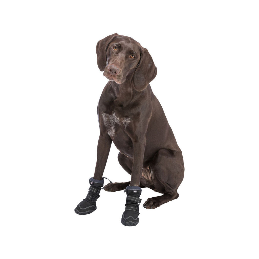 Cane shoes Trixie 19410 nero