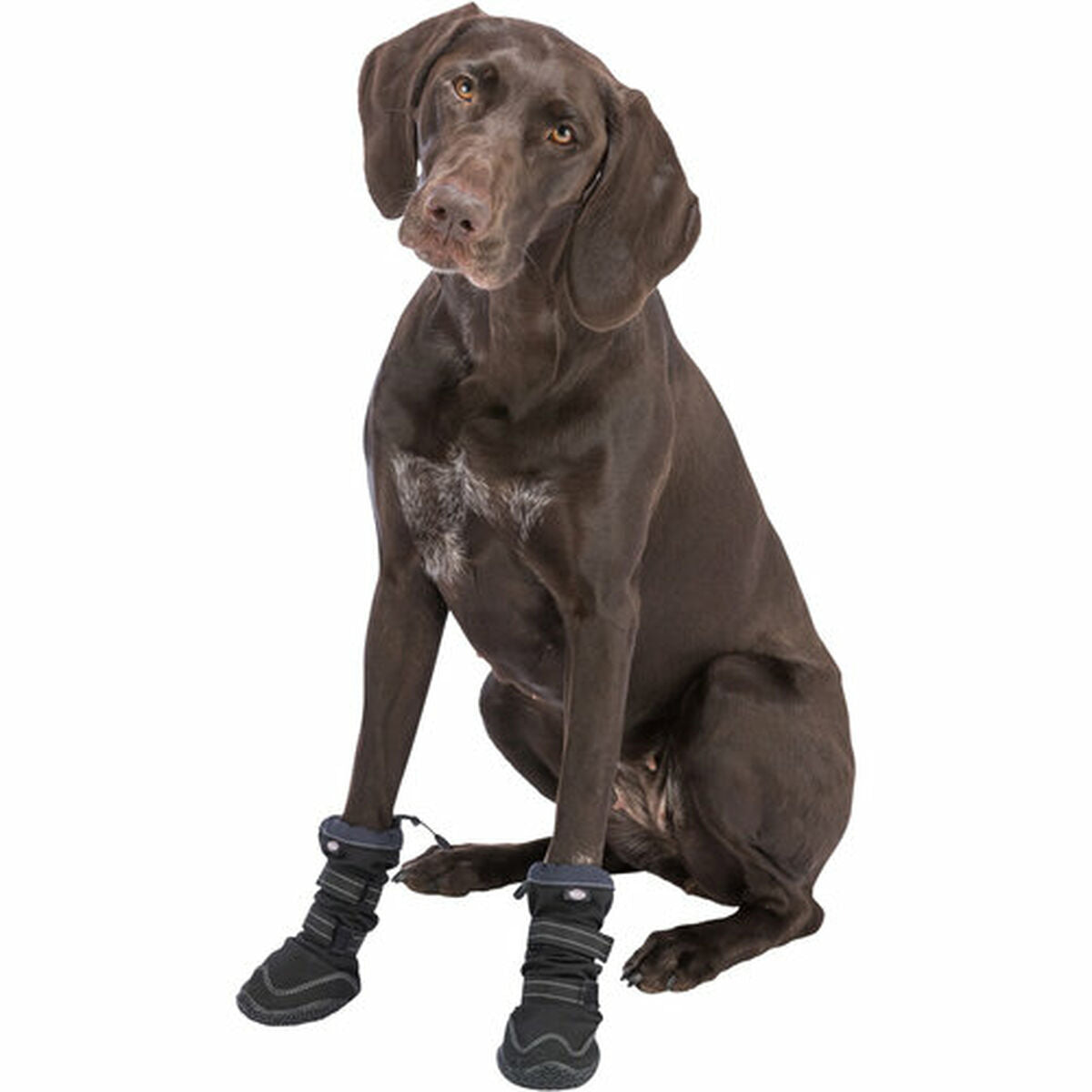 Cane shoes Trixie 19410 nero