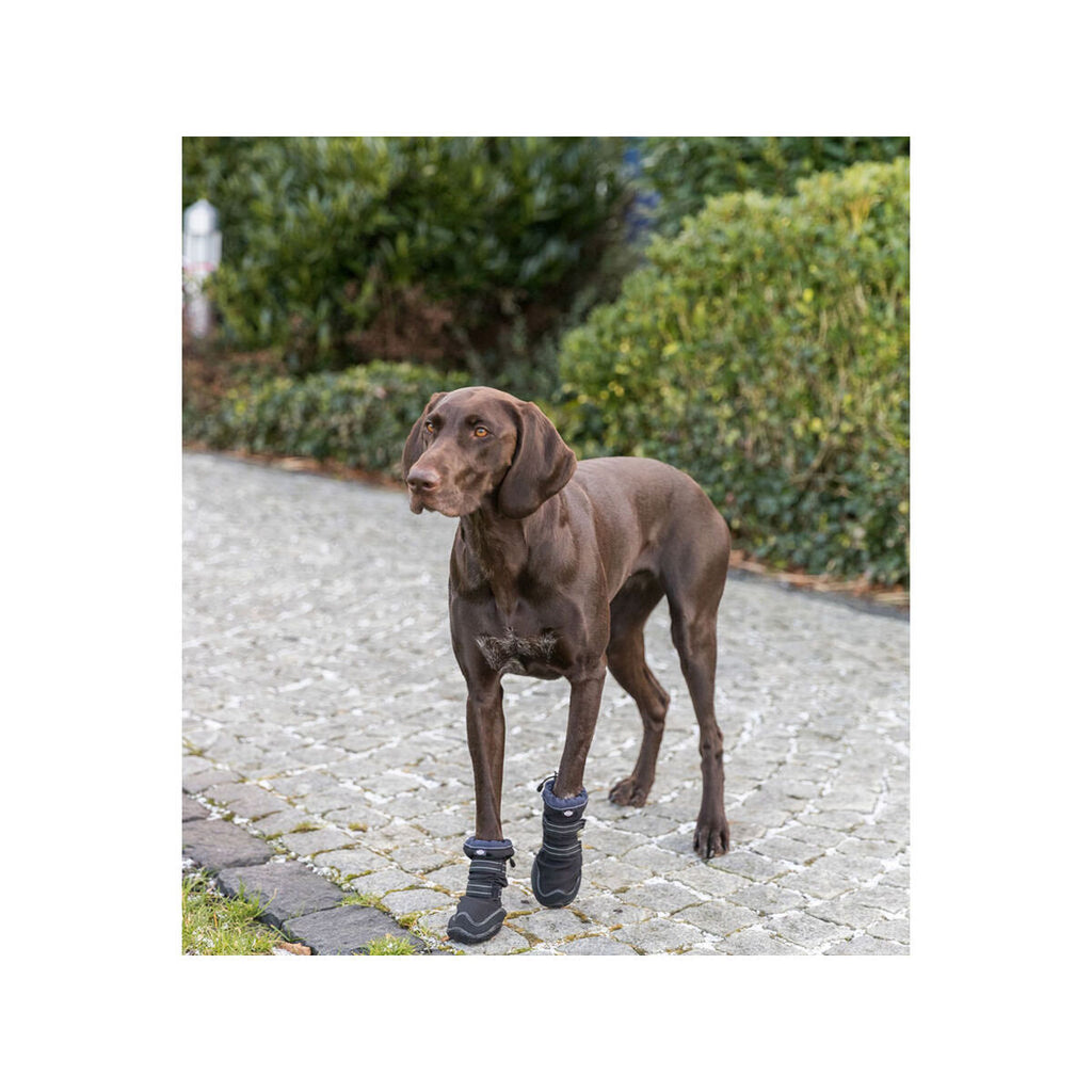 Cane shoes Trixie 19410 nero