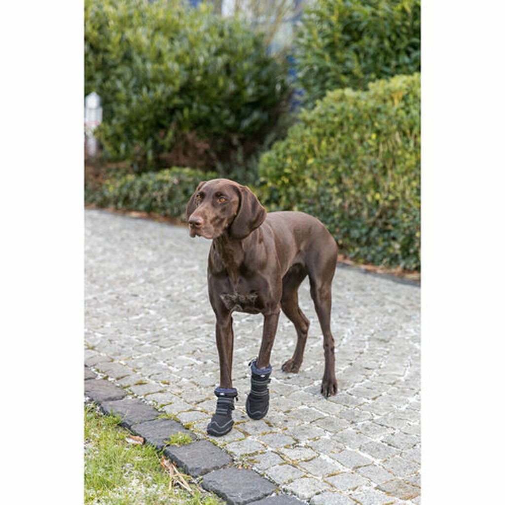 Cane shoes Trixie 19410 nero