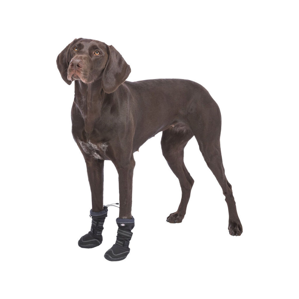 Cane shoes Trixie 19410 nero