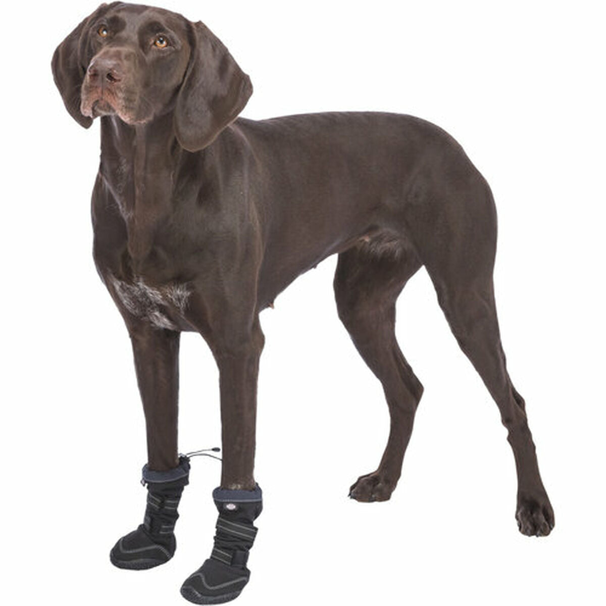 Botas Trixie negras para perro