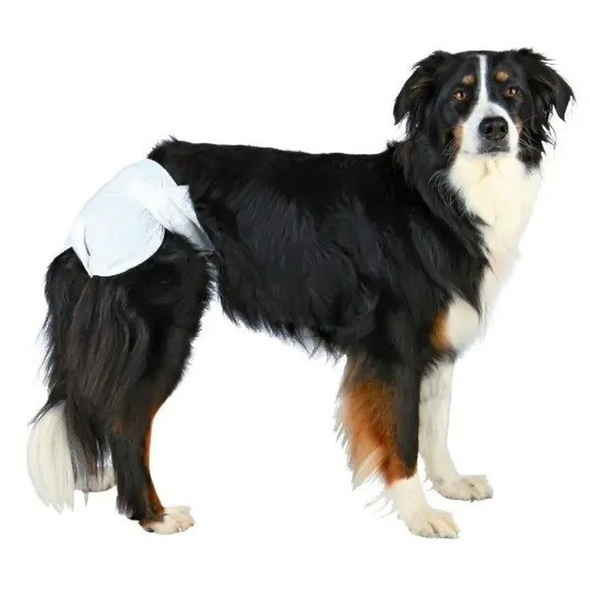 Nappies Trixie 23634 cane M/L