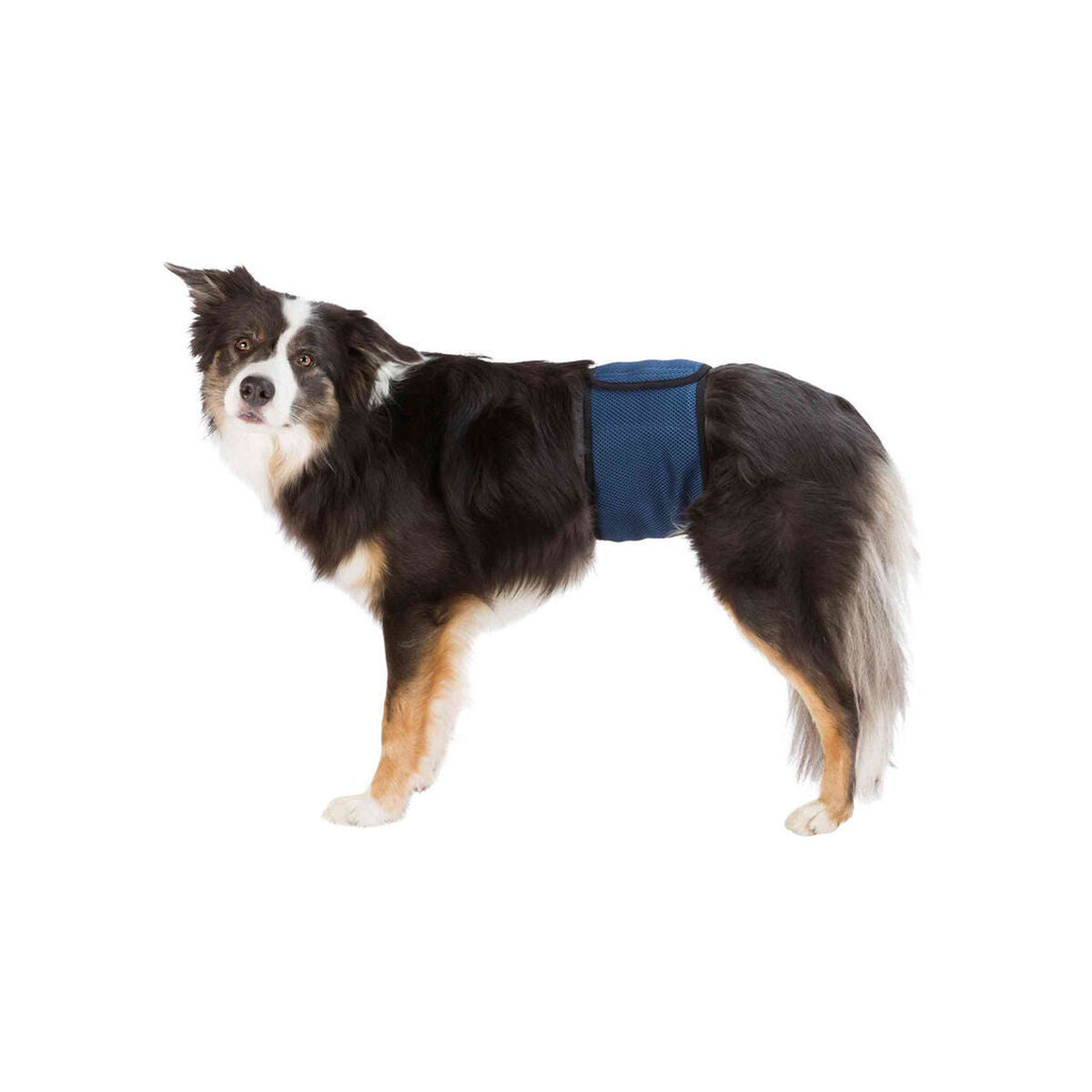 Protector di incontinencia macho Trixie per abdomen