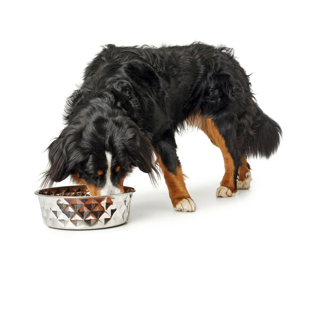 Comedero portatil de silicona para perros - imagen 7