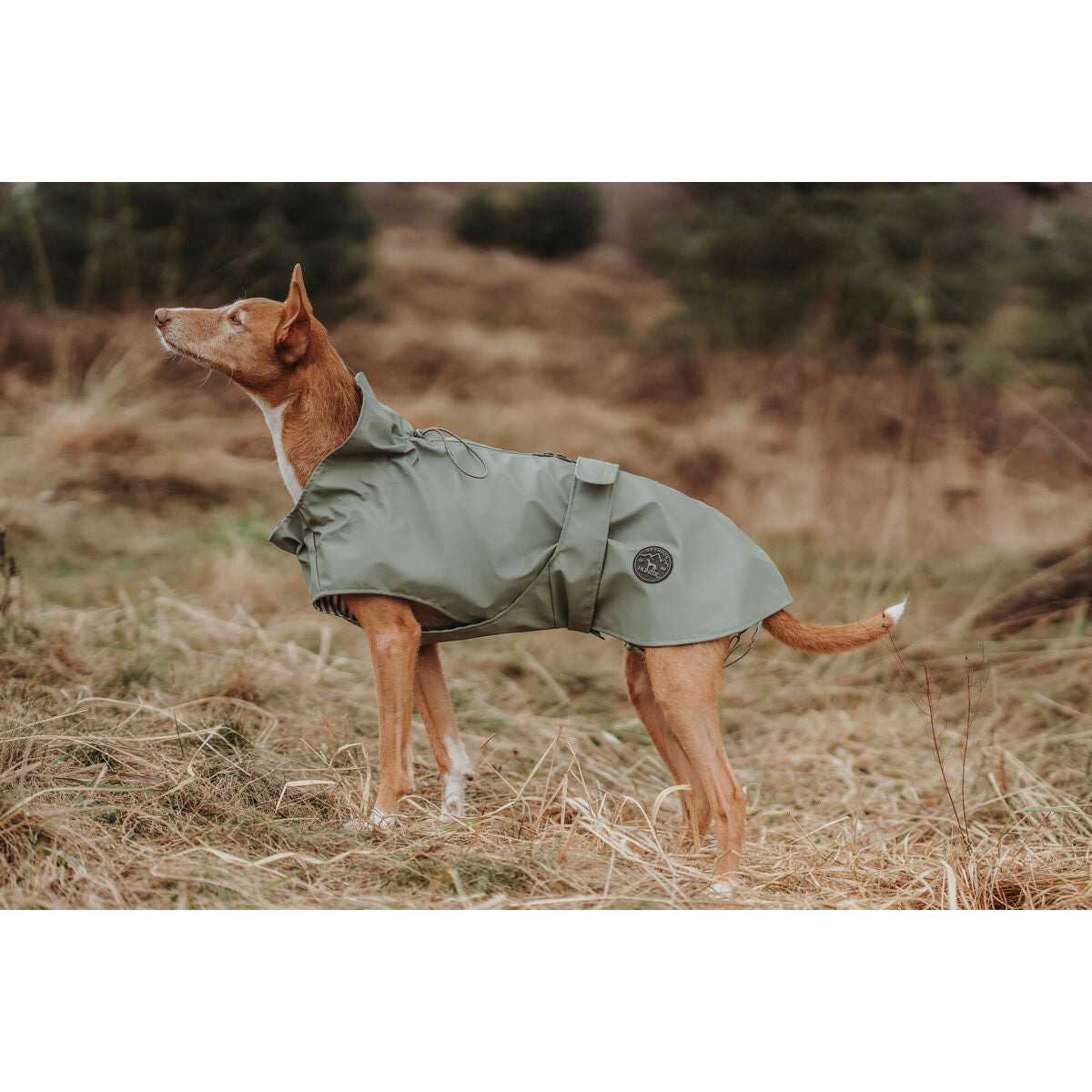 Cappotto per cane Hunter Milford verde 25 cm