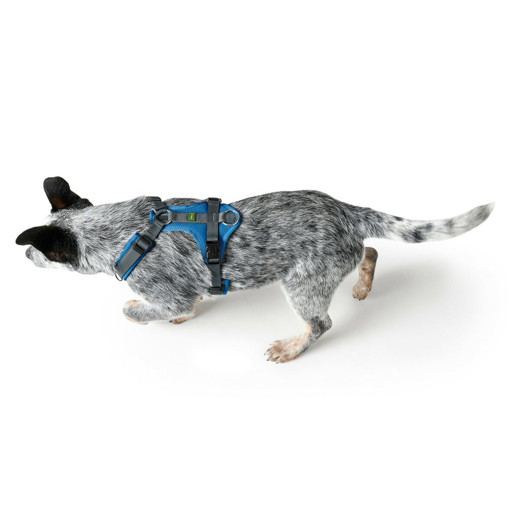 Arnes per cane Hunter Maldon Up blu 50-84 cm