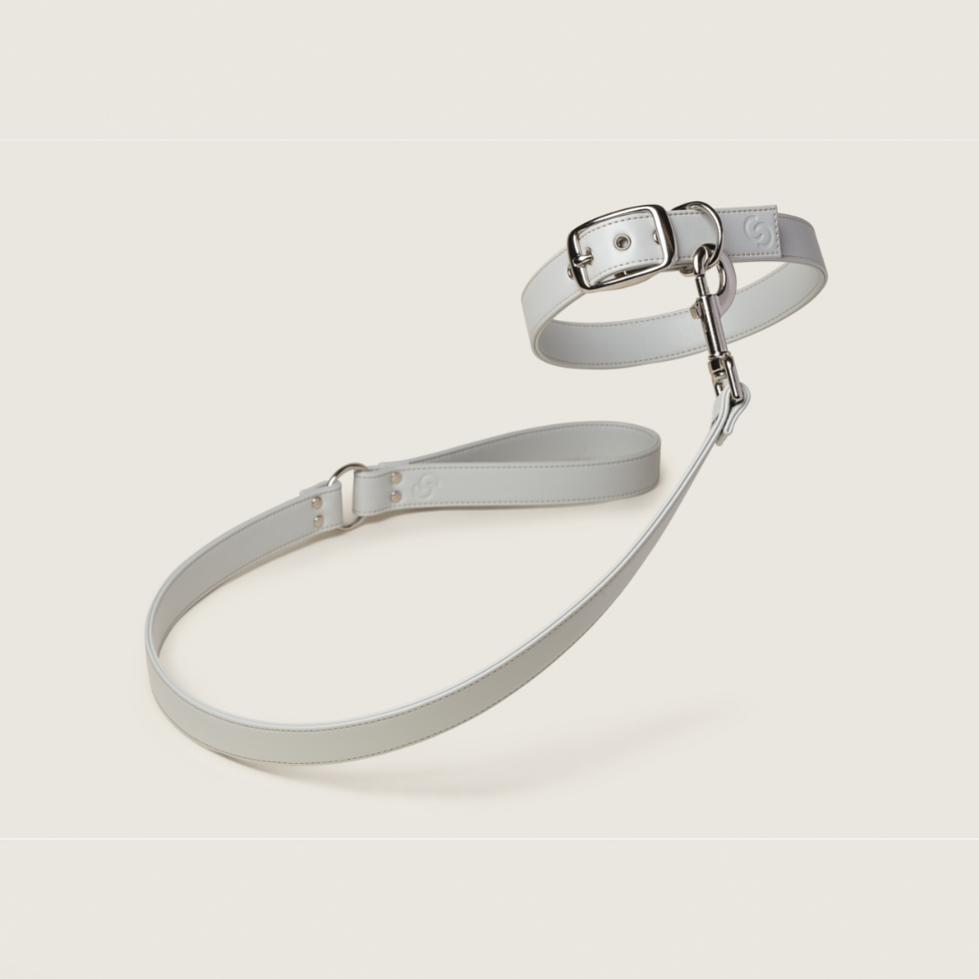 Ice blue apple leather lead for dogs - image 1