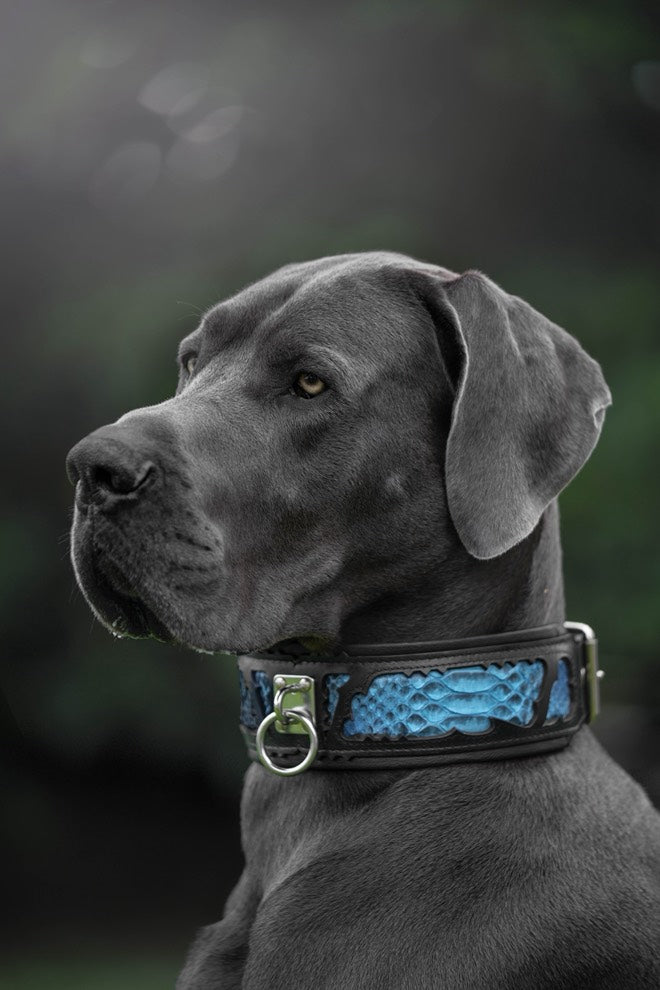 Collar ajustable de cuero negro para perros - imagen 3