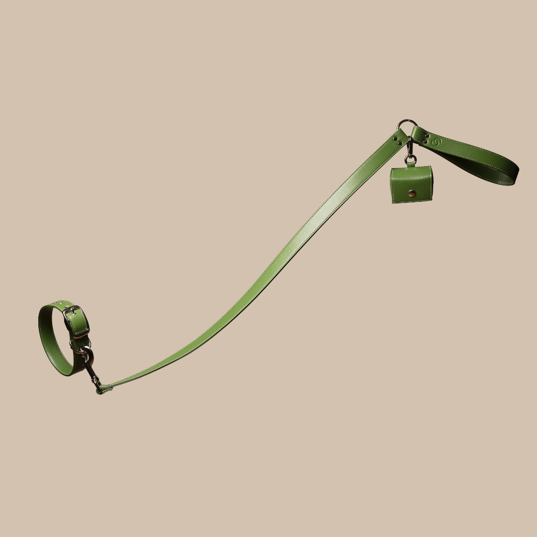 Green apple leather lead for dogs - image 1