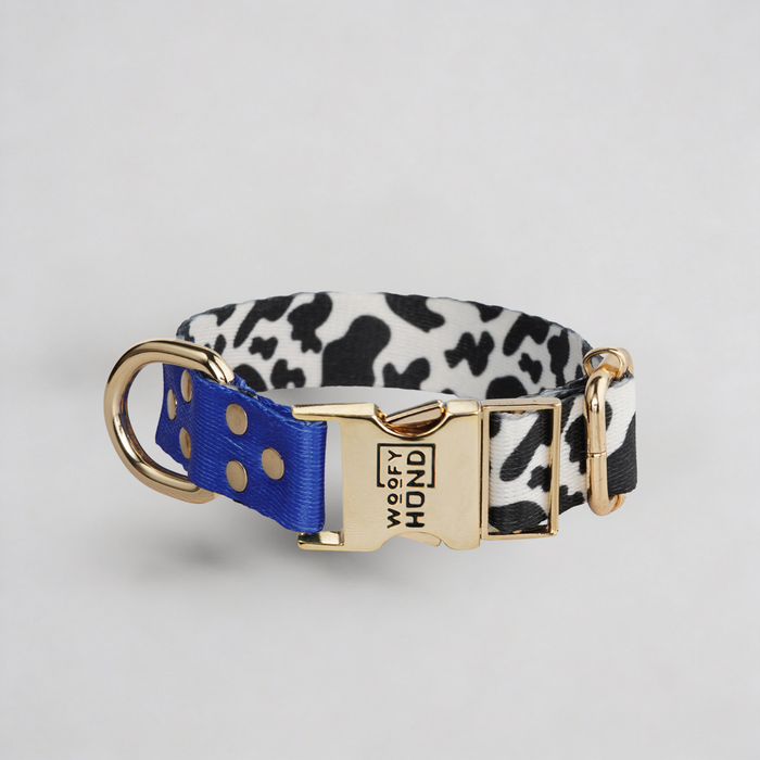 Bleuets de col