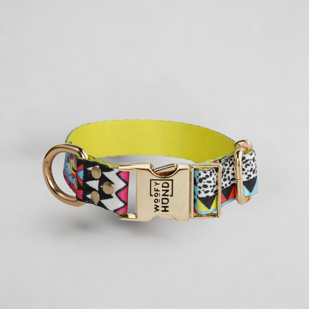 Collare Ethnic Vibrance
