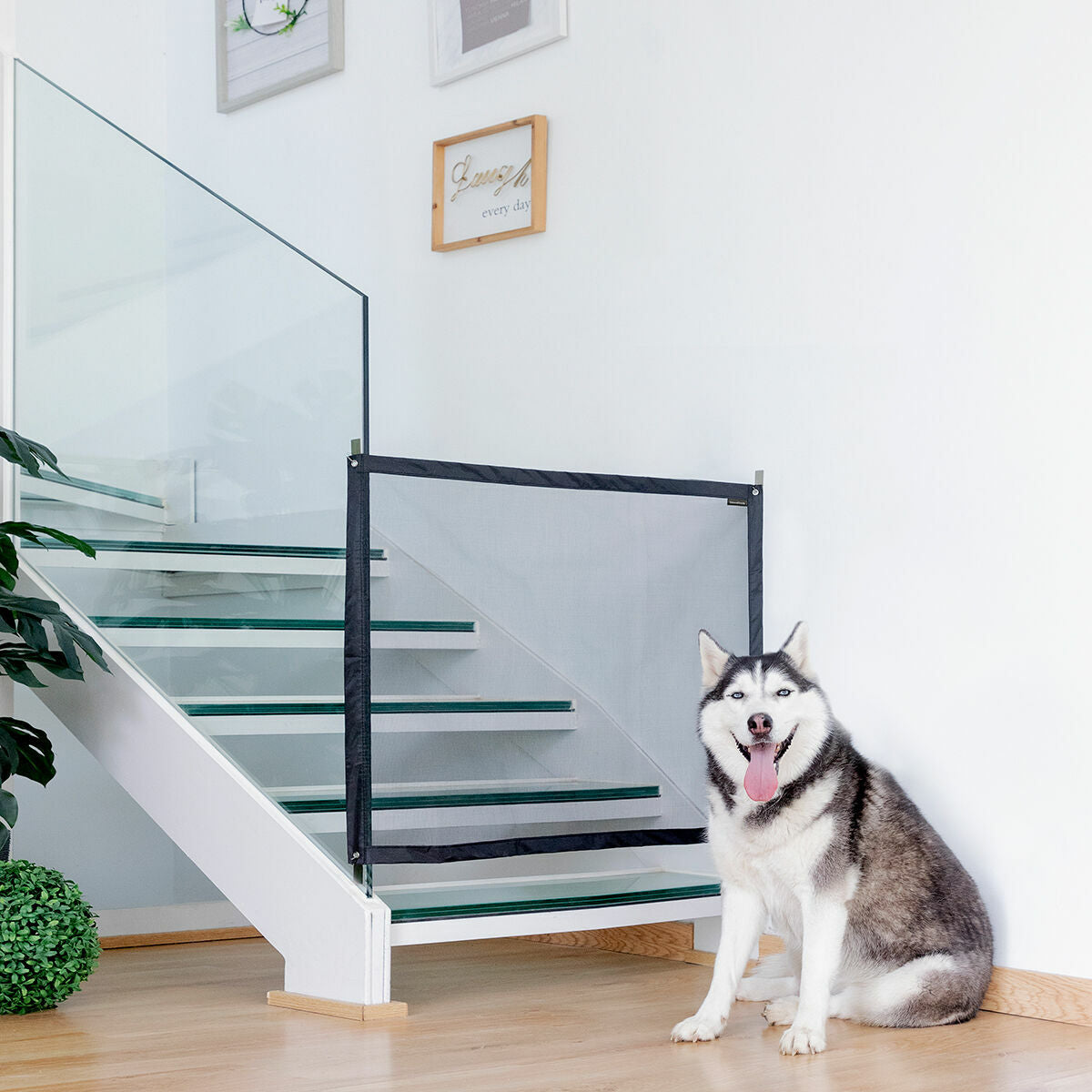 Safety Net for animali Petinu InnovaGoods
