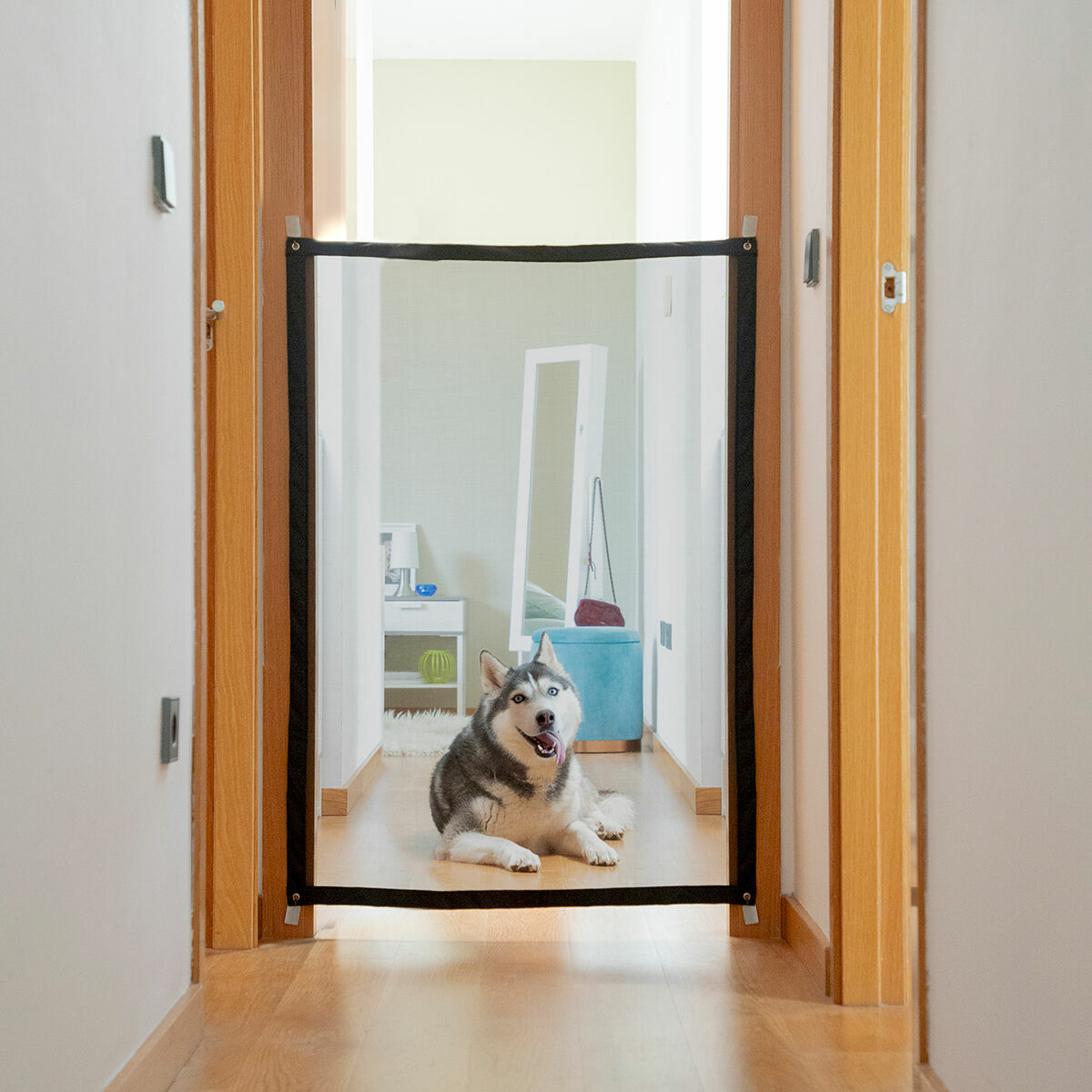 Safety Net for animali Petinu InnovaGoods